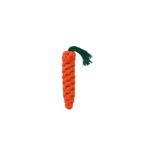 Mini Orange Carrot