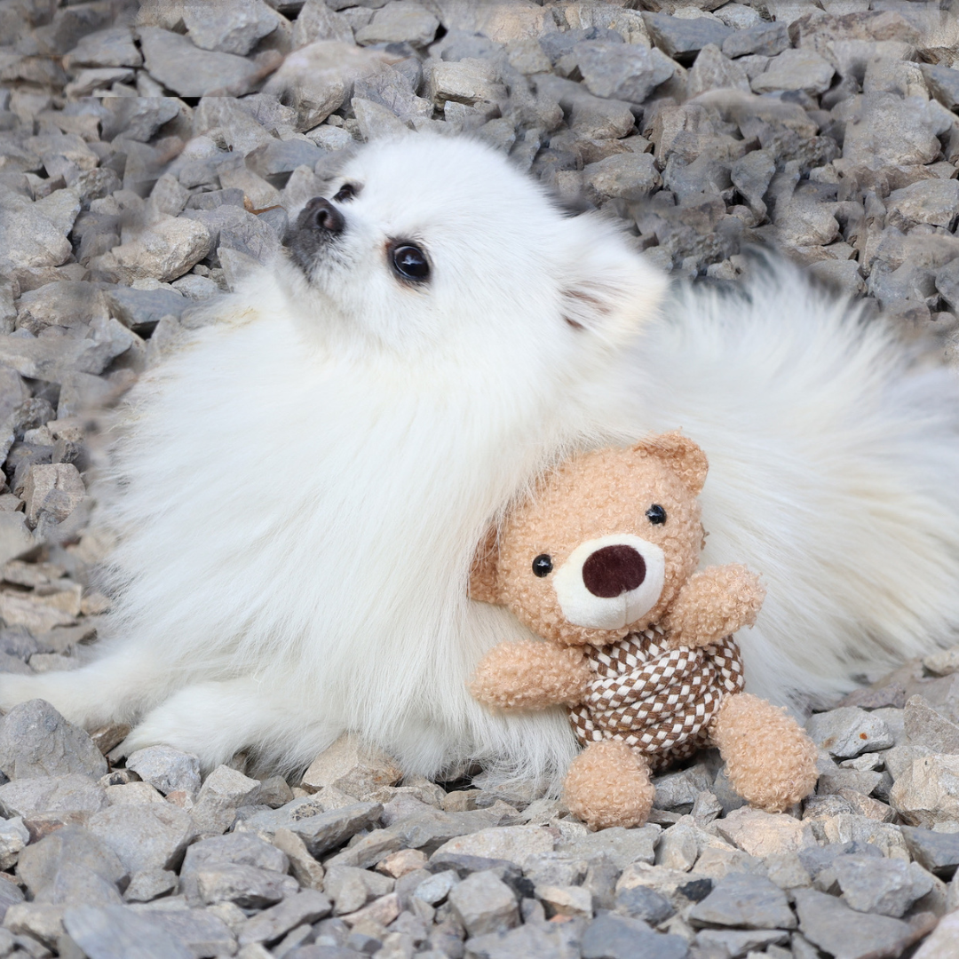The cotton rope woven pet toys, including the pink rabbit, beige rabbit, and brown bear, are adorable and inviting. Crafted meticulously, they are soft and safe. Ideal for your pet's play and entertainment.