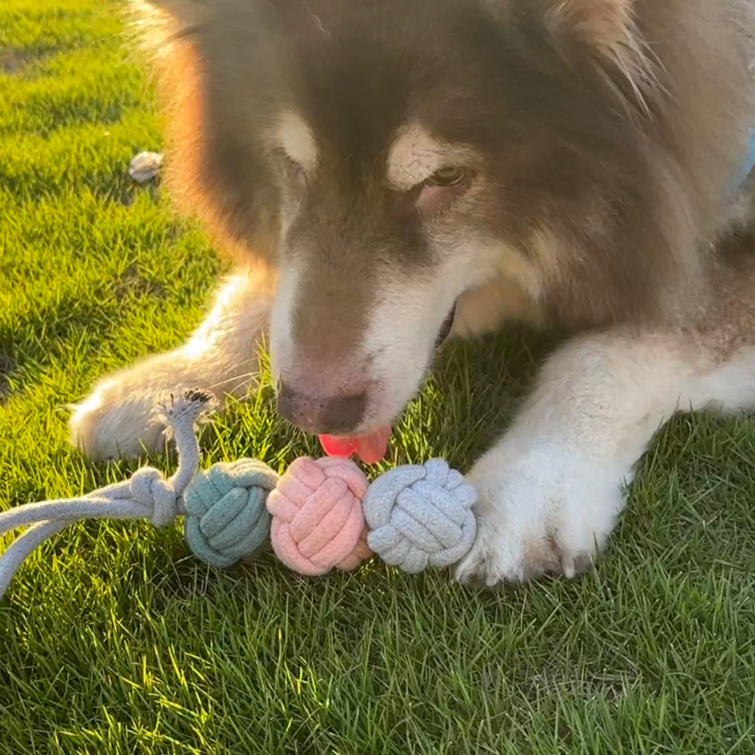 Handcrafted pet toy made of durable cotton rope, designed as a triple ball for interactive play and chewing. Perfect for keeping your pet engaged and happy.