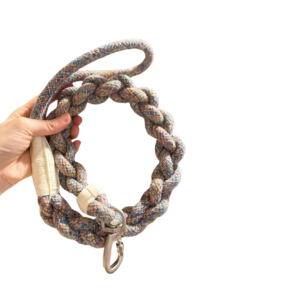 New: Handcrafted Rainbow Rover Dog Leash | Sustainable